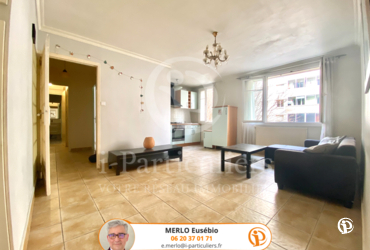 Appartement - 63.6m² Grenoble - 38100